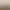 Benelli type fore-end model SL80-121