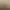 Type Beretta 391stock