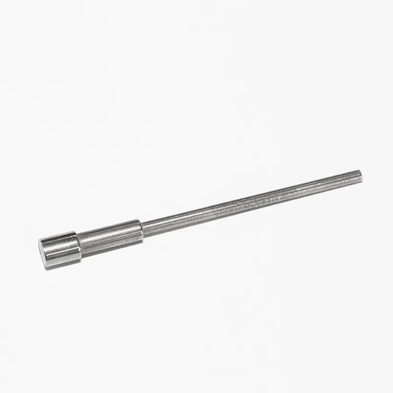 button pump Holland enlarged