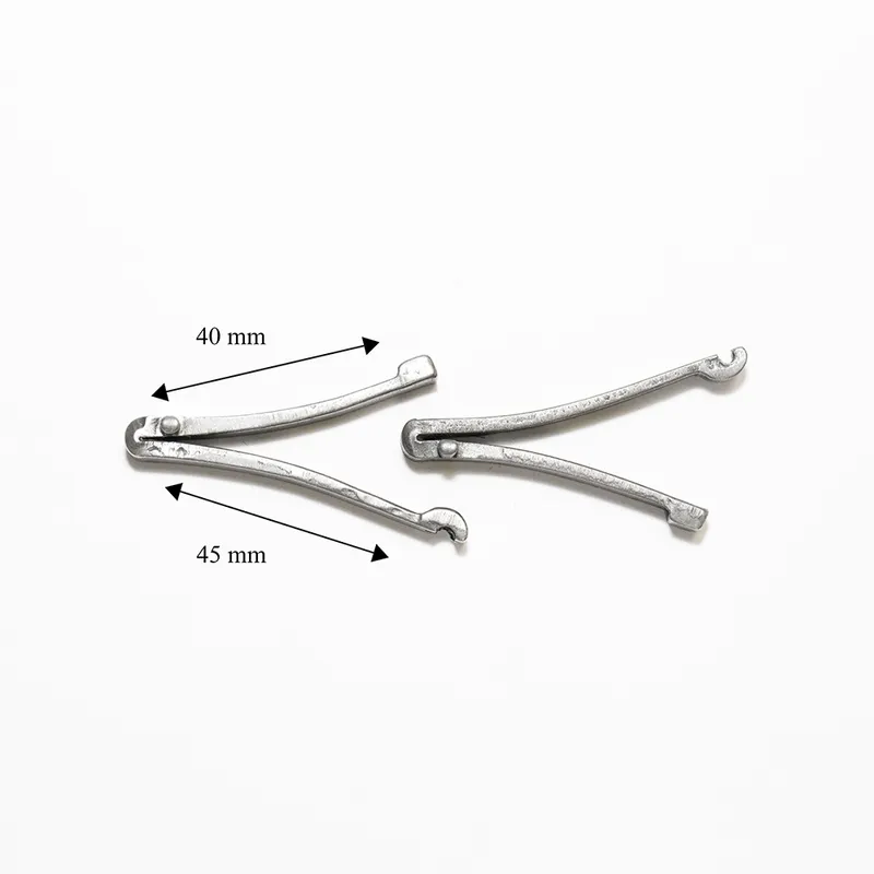 Berna type action spring