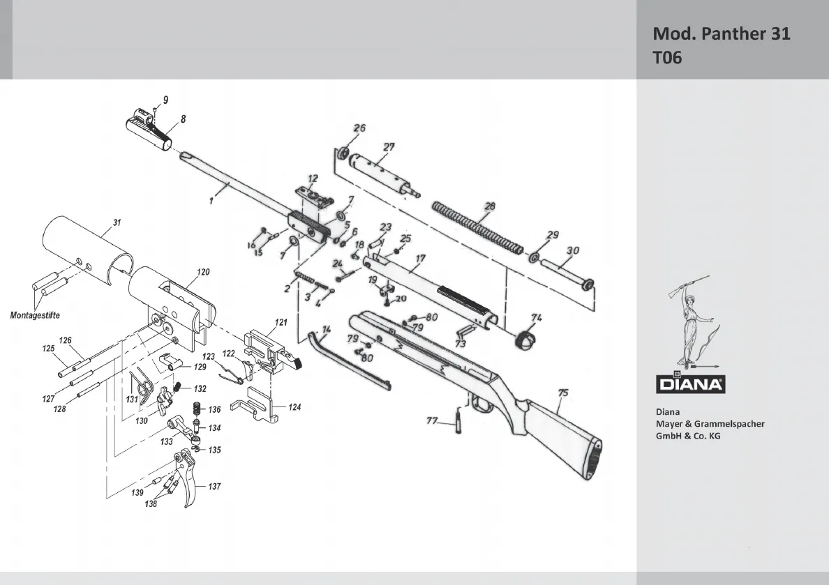 Mod. Panther 31 T06