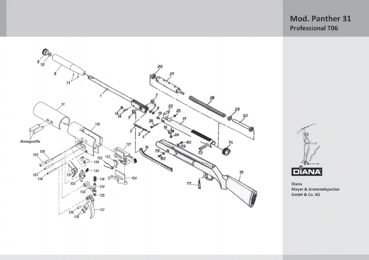 Mod. Panther 31 Professional T06
