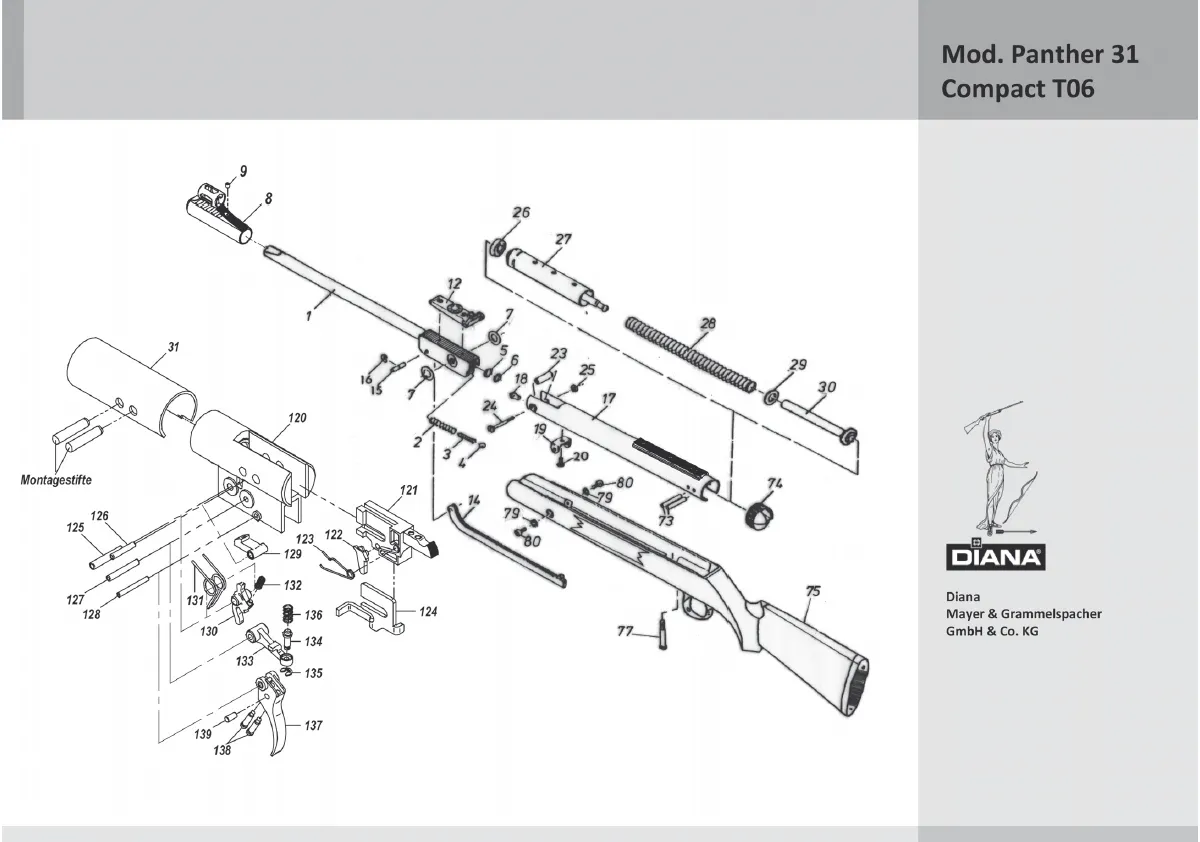 Mod. Panther 31 Compact T06