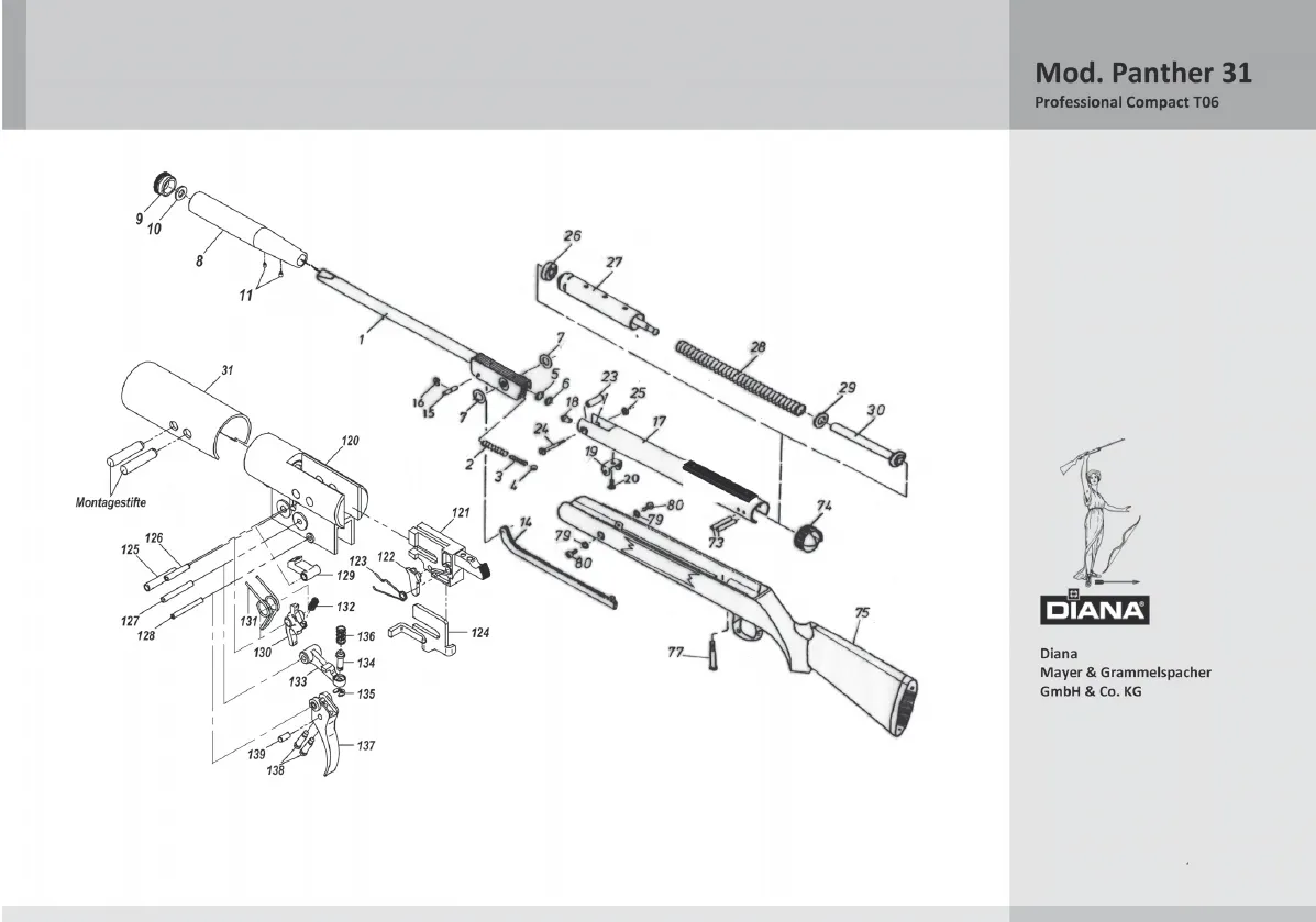 Mod. Panther 31 Professional Compact T06