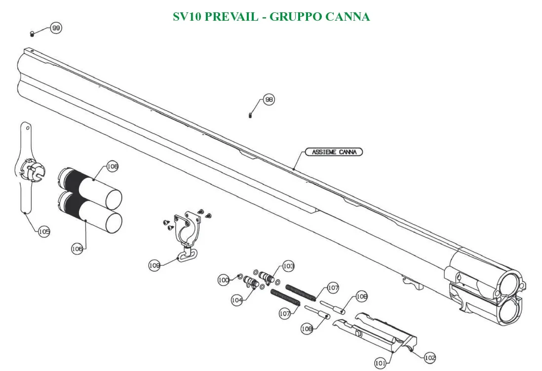 SV10 Prevail
